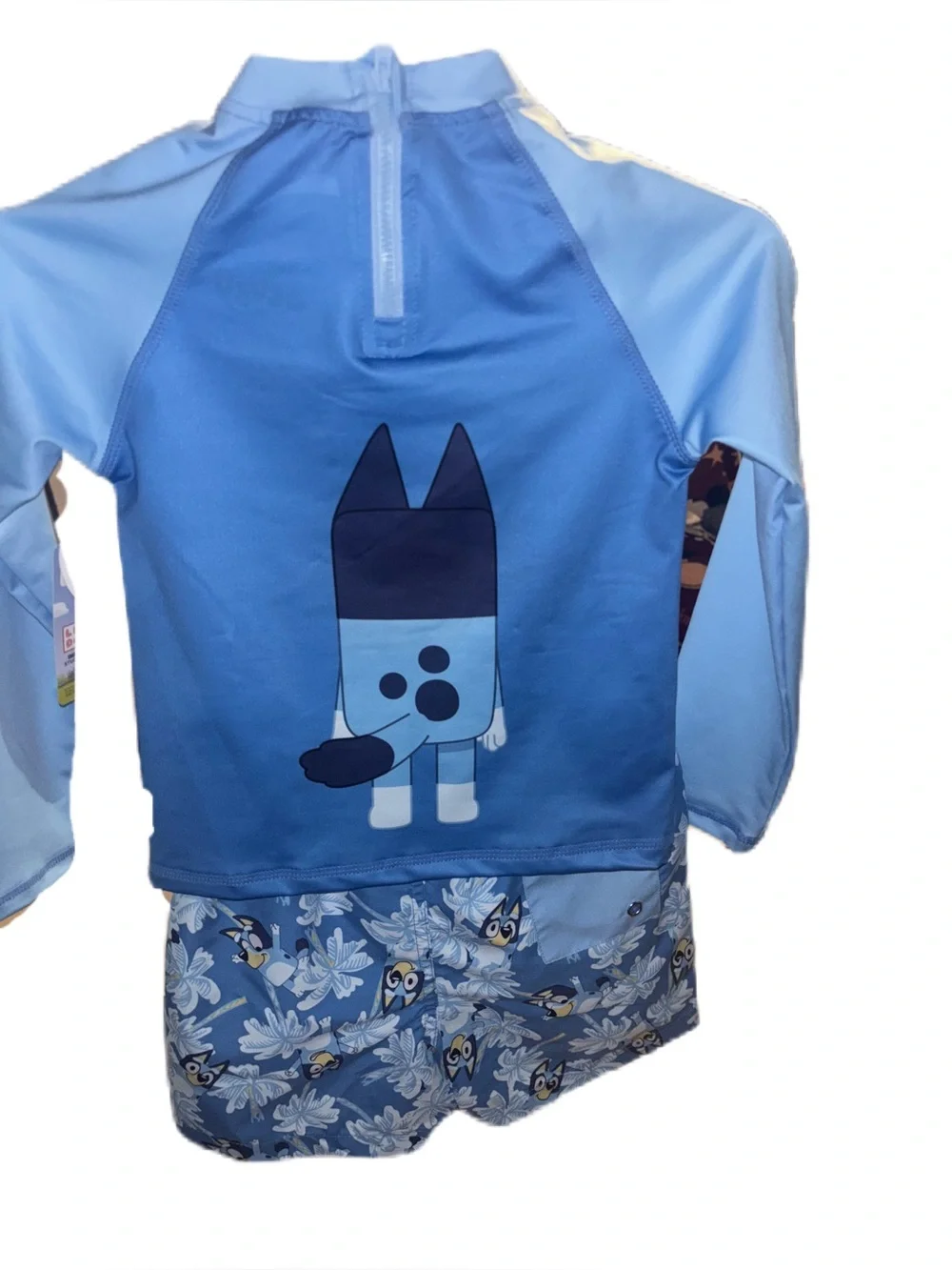 Bluey Boys Kids Rash Guard Set 2 pc Long sleeve Shirt & Swim Trunks Bathing Suit